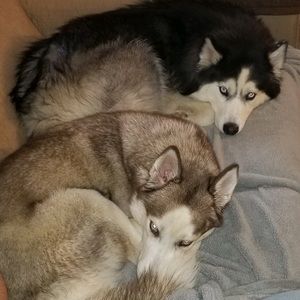 Meet your Posher, Michele